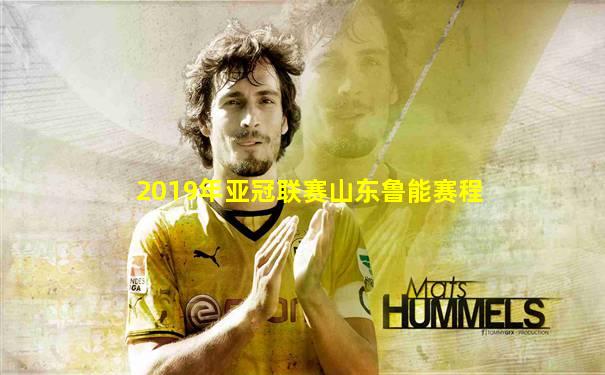 2019年亚冠联赛山东鲁能赛程