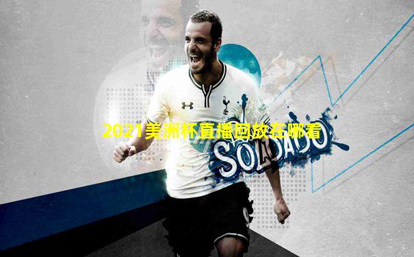 2021美洲杯直播回放在哪看