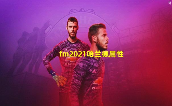 fm2021哈兰德属性