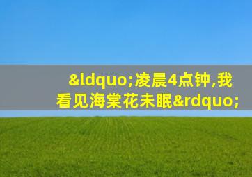 “凌晨4点钟,我看见海棠花未眠”
