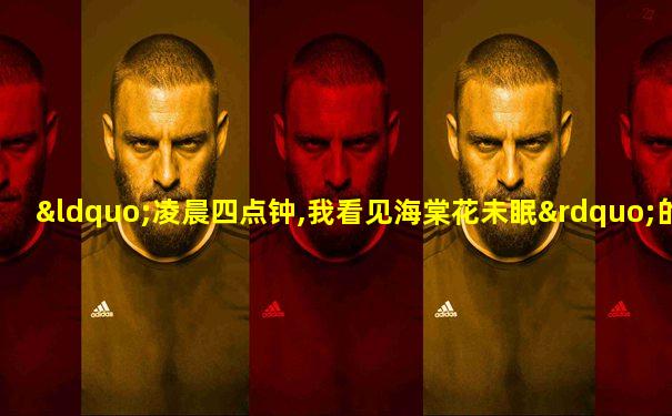 “凌晨四点钟,我看见海棠花未眠”的下一