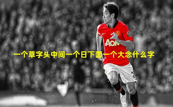一个草字头中间一个日下面一个大念什么字