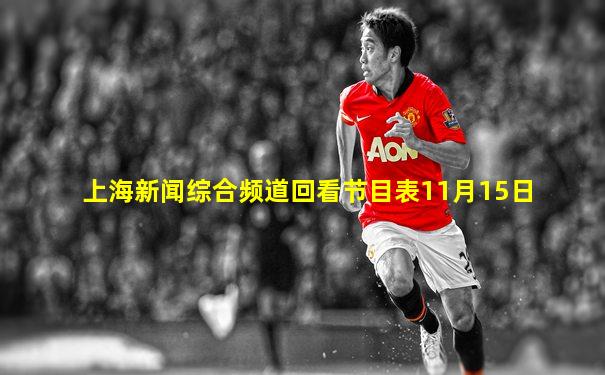 上海新闻综合频道回看节目表11月15日