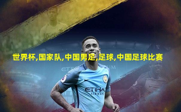 世界杯,国家队,中国男足,足球,中国足球比赛