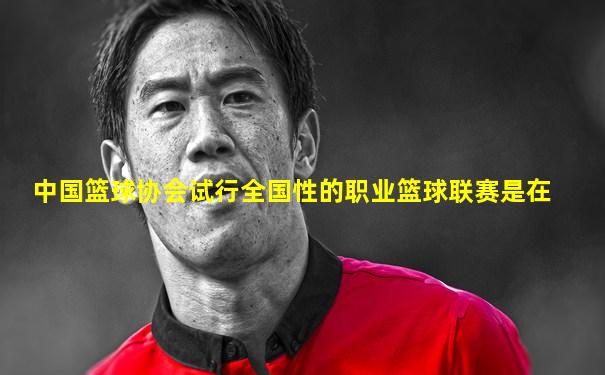 中国篮球协会试行全国性的职业篮球联赛是在
