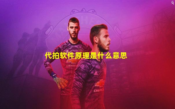 代拍软件原理是什么意思
