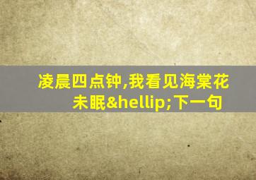 凌晨四点钟,我看见海棠花未眠…下一句