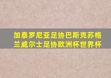 加泰罗尼亚足协巴斯克苏格兰威尔士足协欧洲杯世界杯