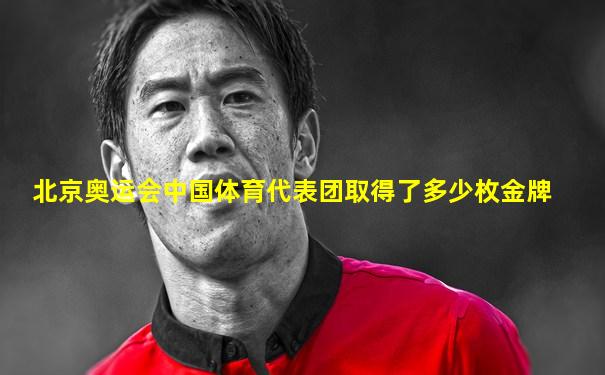 北京奥运会中国体育代表团取得了多少枚金牌