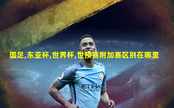 国足,东亚杯,世界杯,世预赛附加赛区别在哪里