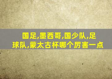 国足,墨西哥,国少队,足球队,蒙太古杯哪个厉害一点