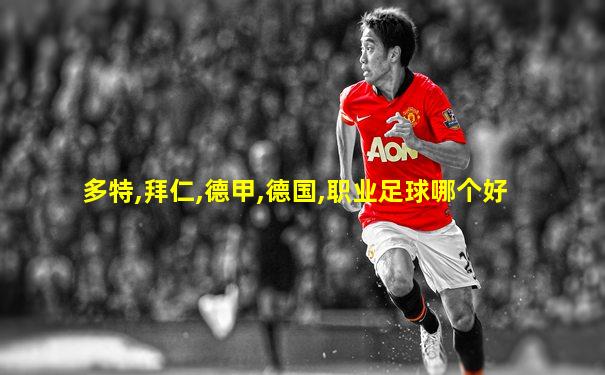 多特,拜仁,德甲,德国,职业足球哪个好