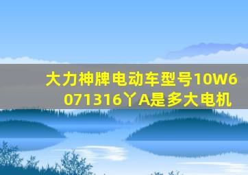 大力神牌电动车型号10W6071316丫A是多大电机