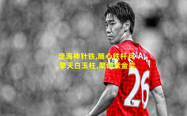 定海神针铁,随心铁杆兵,擎天白玉柱,架海紫金梁