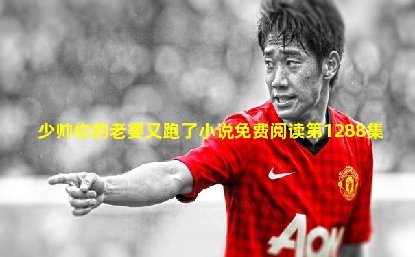 少帅你的老婆又跑了小说免费阅读第1288集