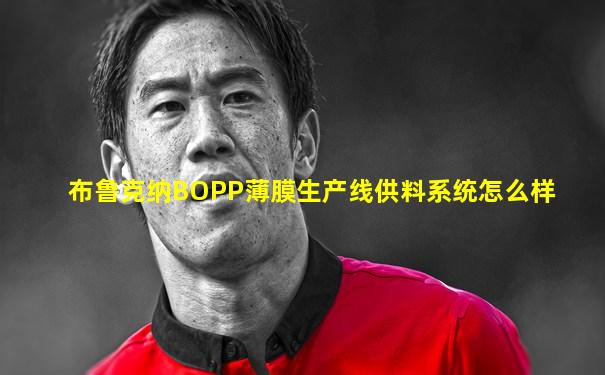 布鲁克纳BOPP薄膜生产线供料系统怎么样