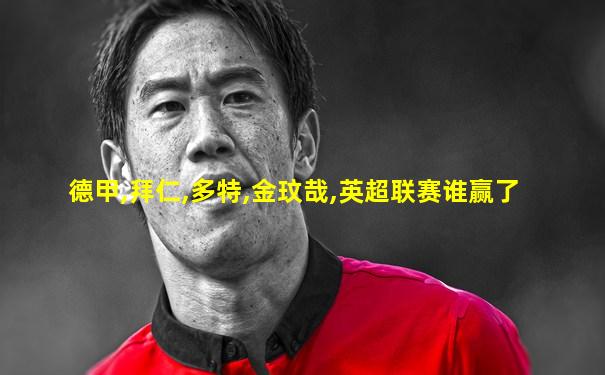 德甲,拜仁,多特,金玟哉,英超联赛谁赢了