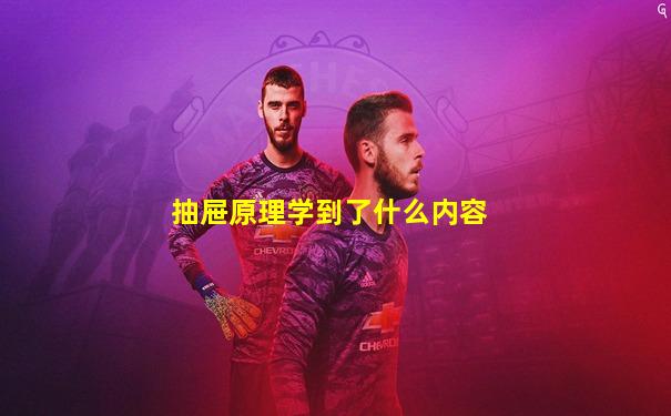 抽屉原理学到了什么内容
