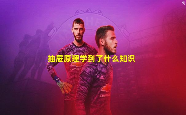 抽屉原理学到了什么知识