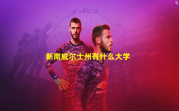 新南威尔士州有什么大学