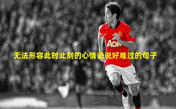 无法形容此时此刻的心情说说好难过的句子