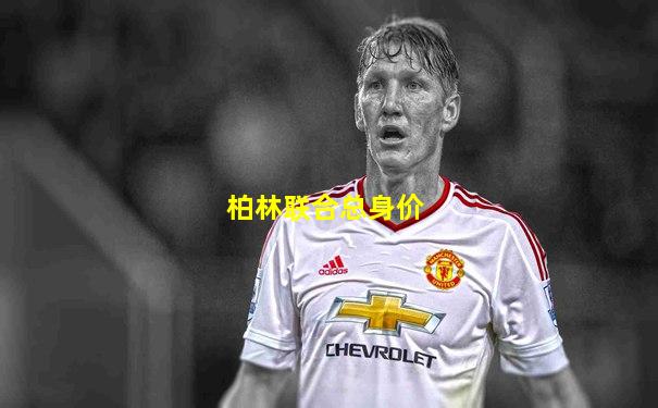 柏林联合总身价