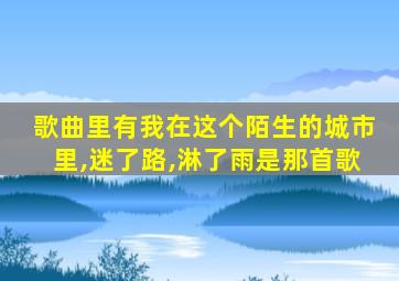 歌曲里有我在这个陌生的城市里,迷了路,淋了雨是那首歌