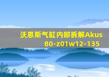 沃恩斯气缸内部拆解Akus80-z01w12-135