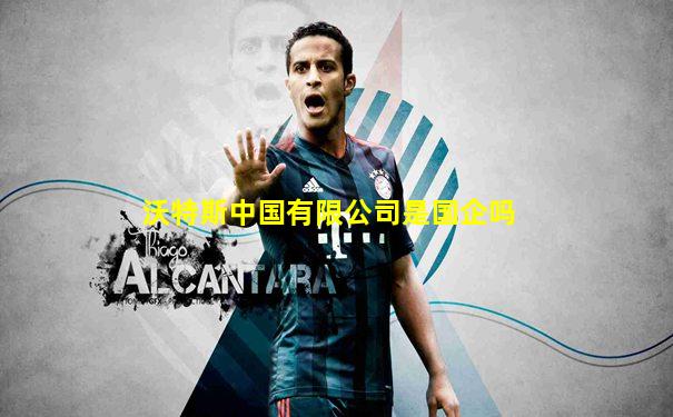 沃特斯中国有限公司是国企吗