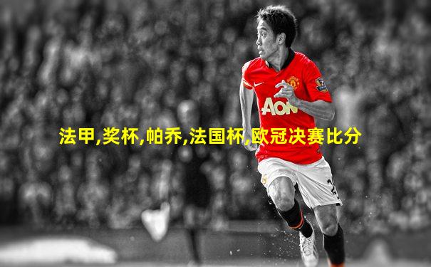法甲,奖杯,帕乔,法国杯,欧冠决赛比分
