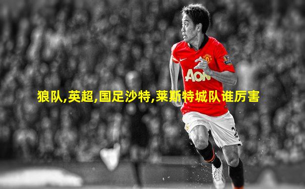 狼队,英超,国足沙特,莱斯特城队谁厉害
