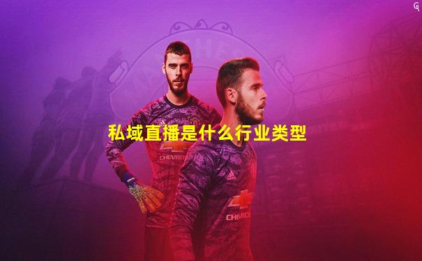 私域直播是什么行业类型