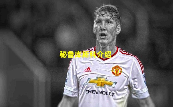 秘鲁库斯科介绍