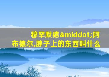 穆罕默德·阿布德尔,脖子上的东西叫什么