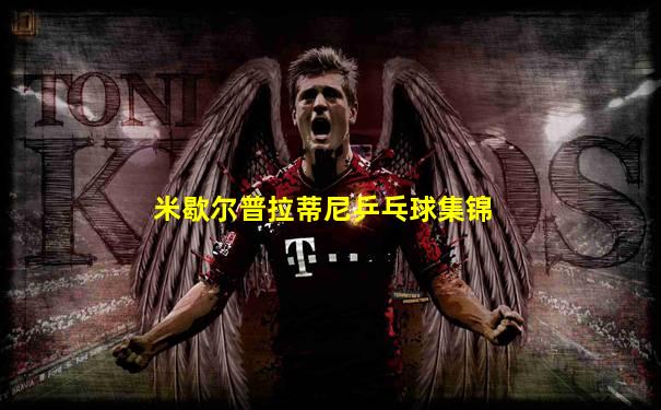 米歇尔普拉蒂尼乒乓球集锦