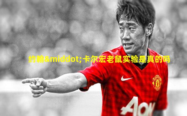 约翰·卡尔宏老鼠实验是真的吗