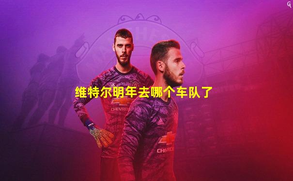 维特尔明年去哪个车队了