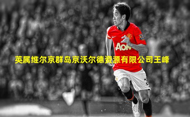 英属维尔京群岛京沃尔德资源有限公司王峰
