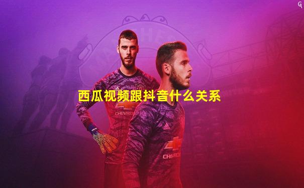 西瓜视频跟抖音什么关系