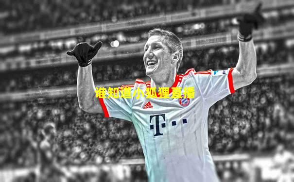 谁知道小狐狸直播