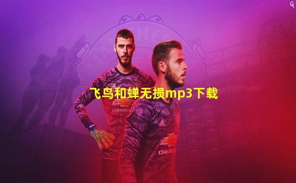 飞鸟和蝉无损mp3下载
