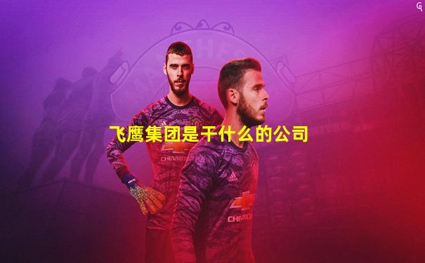 飞鹰集团是干什么的公司